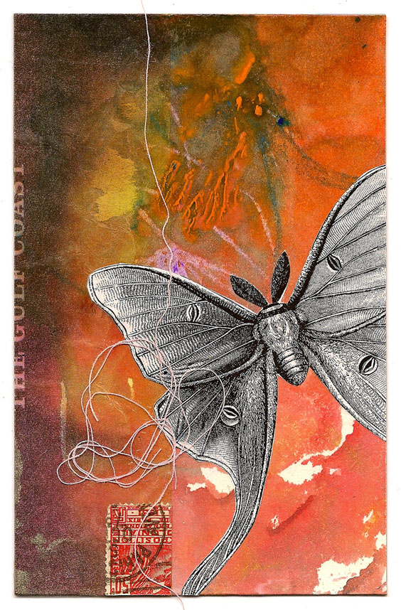 s.kommers.butterfly4