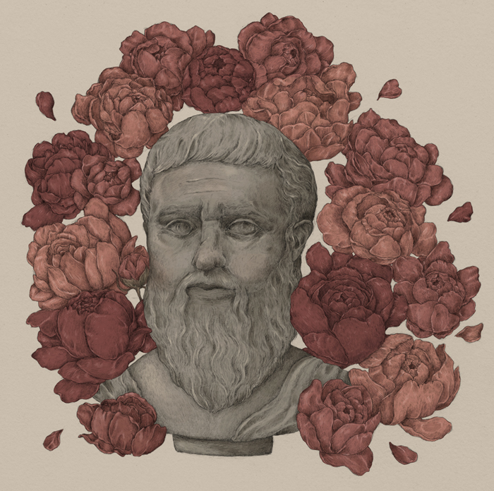 Plato in the Peonies